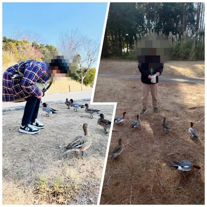 非認知能力の向上を目指す　放課後等デイサービスぽけっと/蜻蛉池公園にハイキング♫