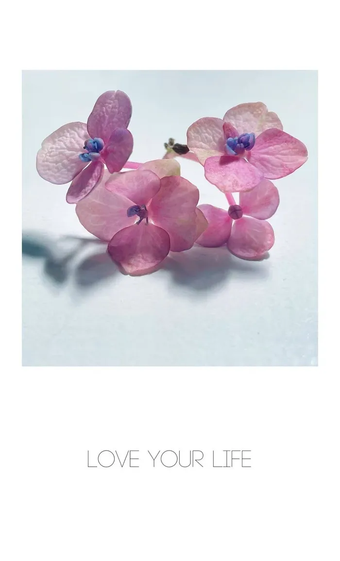 児童発達支援事業所・放課後等デイサービス　ぽぽのいえ/かみくせはやめさせるべき？