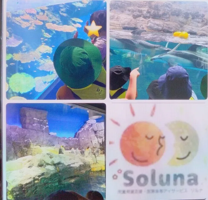 児童発達支援　ソルナ　☆2025年４月OPEN!!☆/海遊館への外出支援🐠🐋