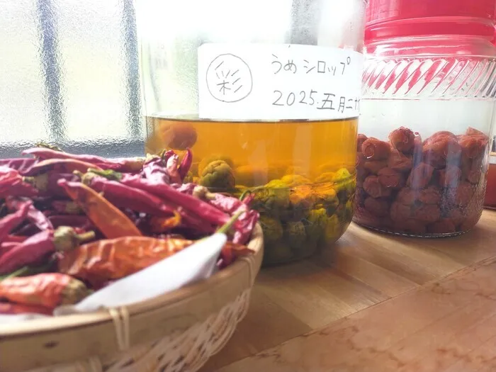 西畑こどものおうち 彩/その他