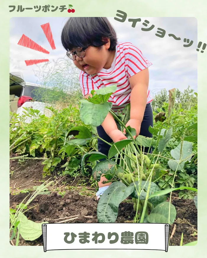 2025年4月open!　 フルーツポンチ/ひまわりのうえん