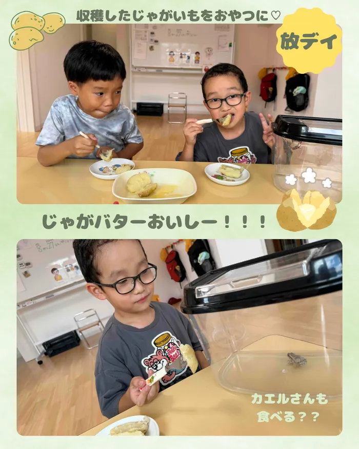 2025年4月open!　 フルーツポンチ/収穫したじゃがいもで…