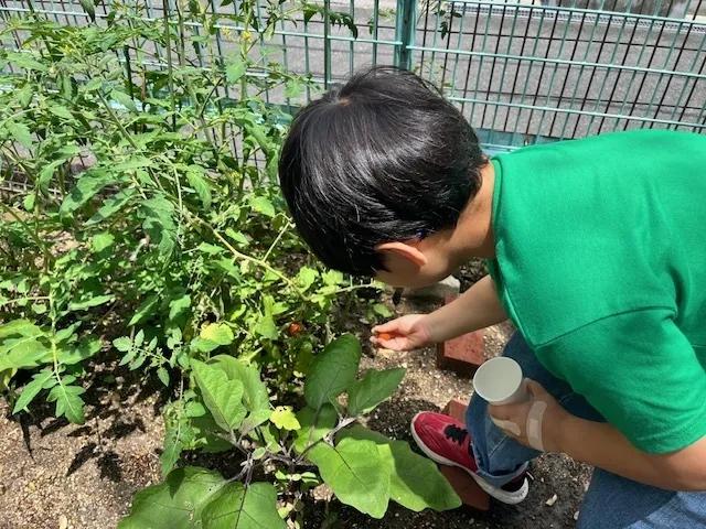 アステリ野崎教室
