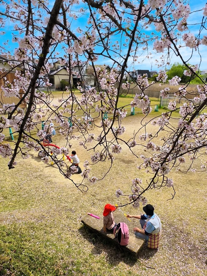 そらのとり/外部環境