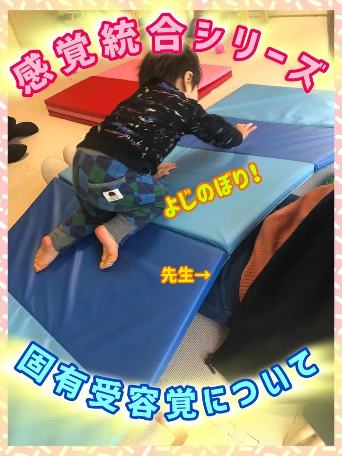 リッツ ジュニア 花/固有受容覚について🤔