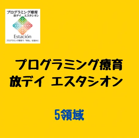 プログラミング療育放デイ エスタシオン稲毛教室/プログラミング療育エスタシオンの5領域