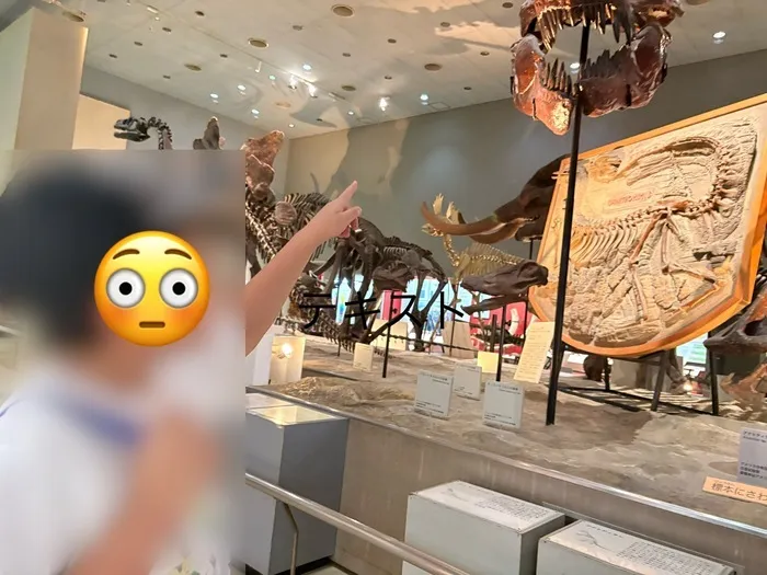 《児童発達支援・放課後等デイサービス》 みらいガーデンすいた/⭐︎大阪自然史博物館⭐︎