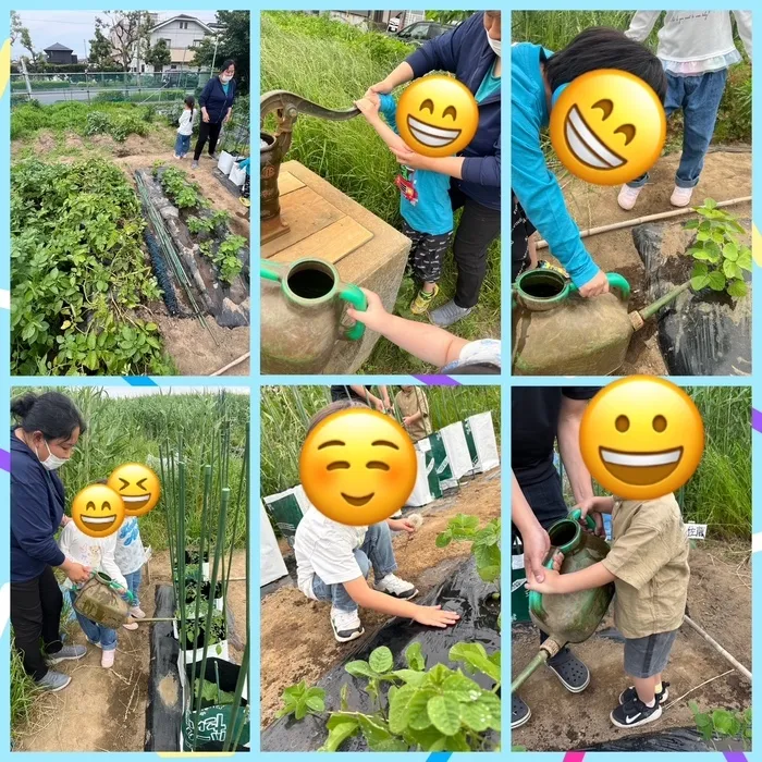 アイビー三郷プラス/🍅楽しい食育！～畑で水やりをしよう～🥒