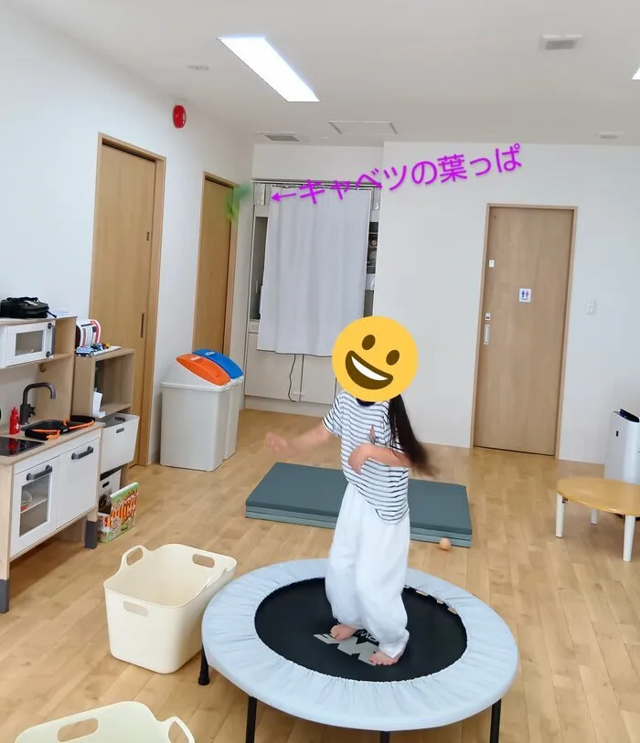 マイシェルパジュニア　馬込上池台/子どものやりたい事を生かして発達を促す