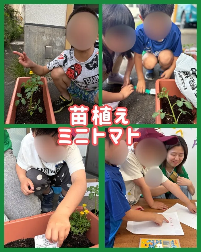 虹色のたね　台原/野菜の苗植え🍅