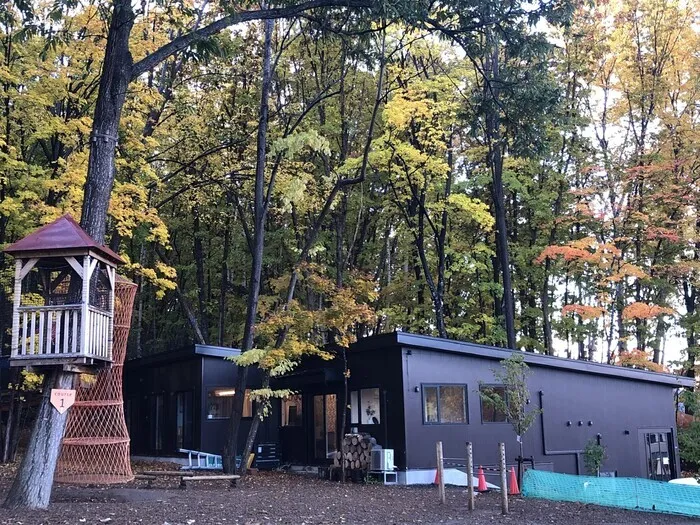 こりっつぷらす