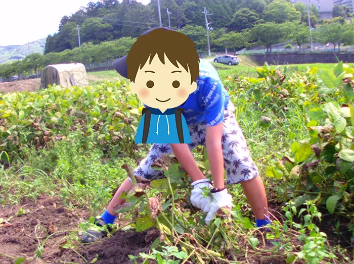児童発達支援・放課後等デイサービス　みちしるべ　【送迎あり】/枝豆収穫体験