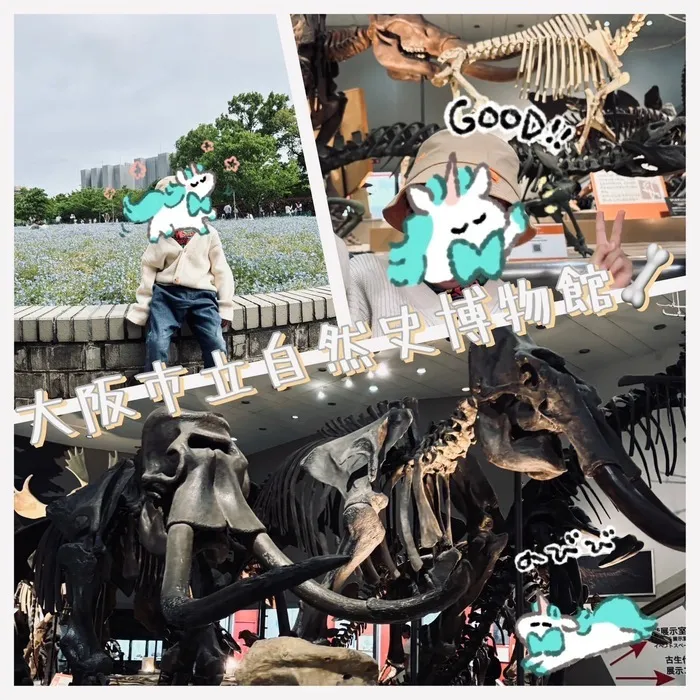 uni muni/【大阪市立自然史博物館🦴】