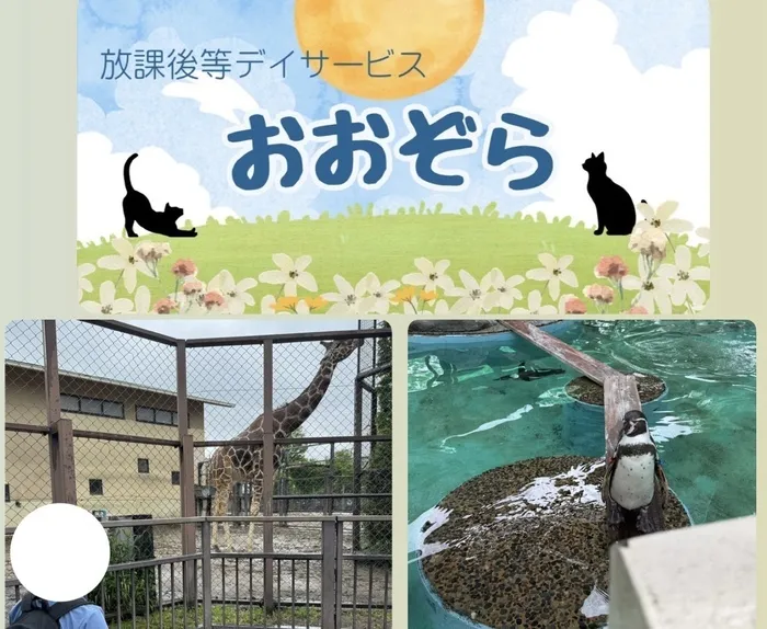 おおぞら/京都動物園に行ってきました！