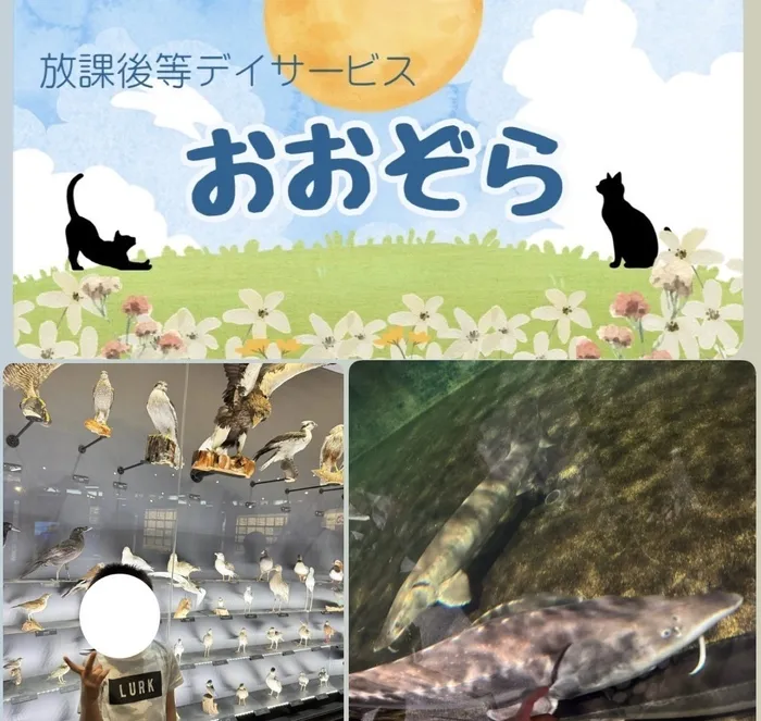 おおぞら/琵琶湖博物館に行きました！
