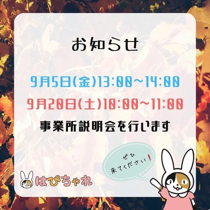 （R7.3月1日OPEN！）8月23日説明会　女の子専用放課後等デイサービス　はぴちゃれ/はぴちゃれ説明会9月ver