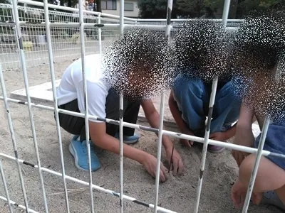 にじいろテラス豊新/外遊びにGO！