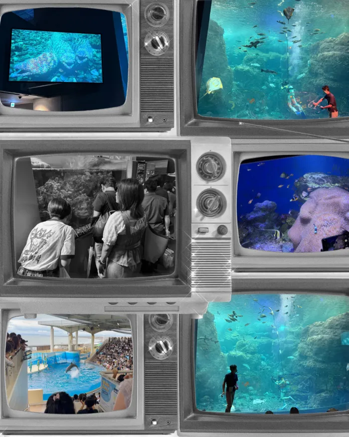 放課後等デイサービス Lily/大人の嗜み【下見シリーズ】