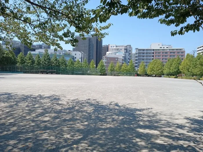 スポーツの杜公園 広い公園でかけっこ、ボール遊び♪