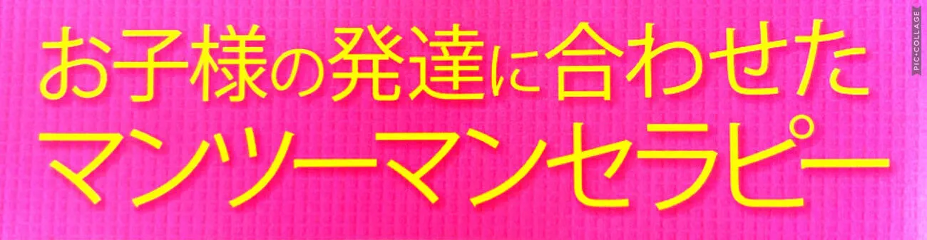 てらぴぁぽけっと とよた教室/プログラム内容