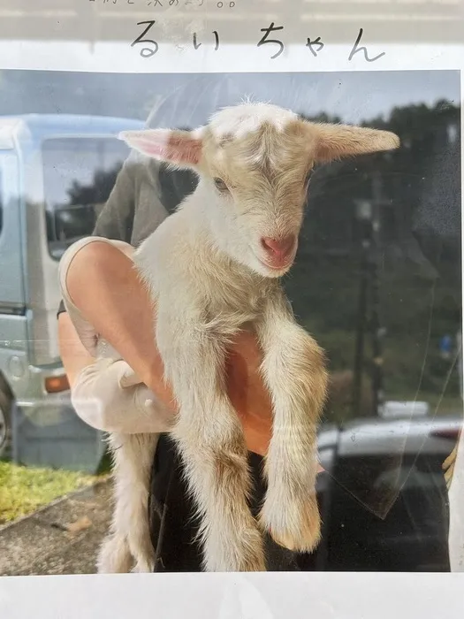 ☆1日預かりOK☆多機能型事業所　おびすぎ　【令和7年7月1日open！】/名前が決まりました☺️