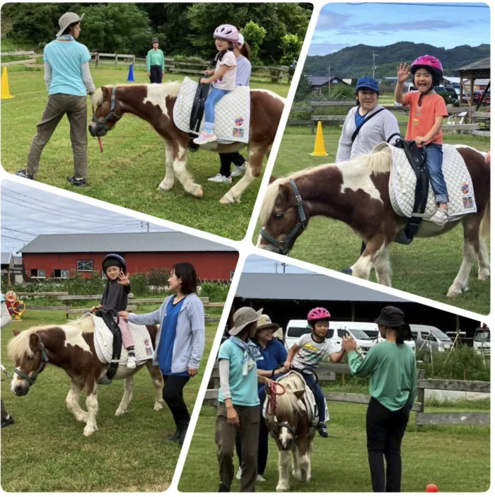 TEKUNOBI 糸島/ホースセラピー再開