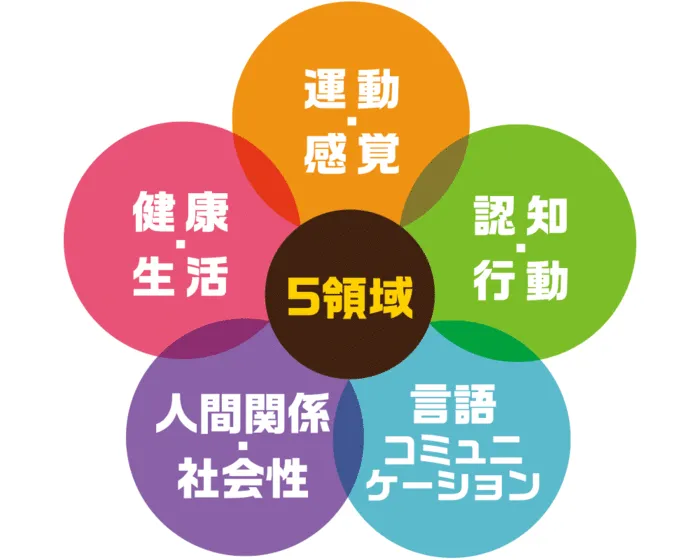 Noa+西条/スタッフの専門性・育成環境