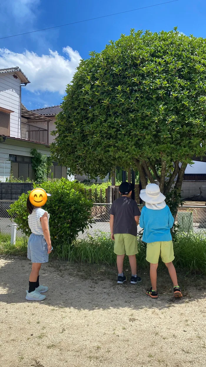 キッズプラス 令和7年７月OPEN/ 公園楽しいね🎵