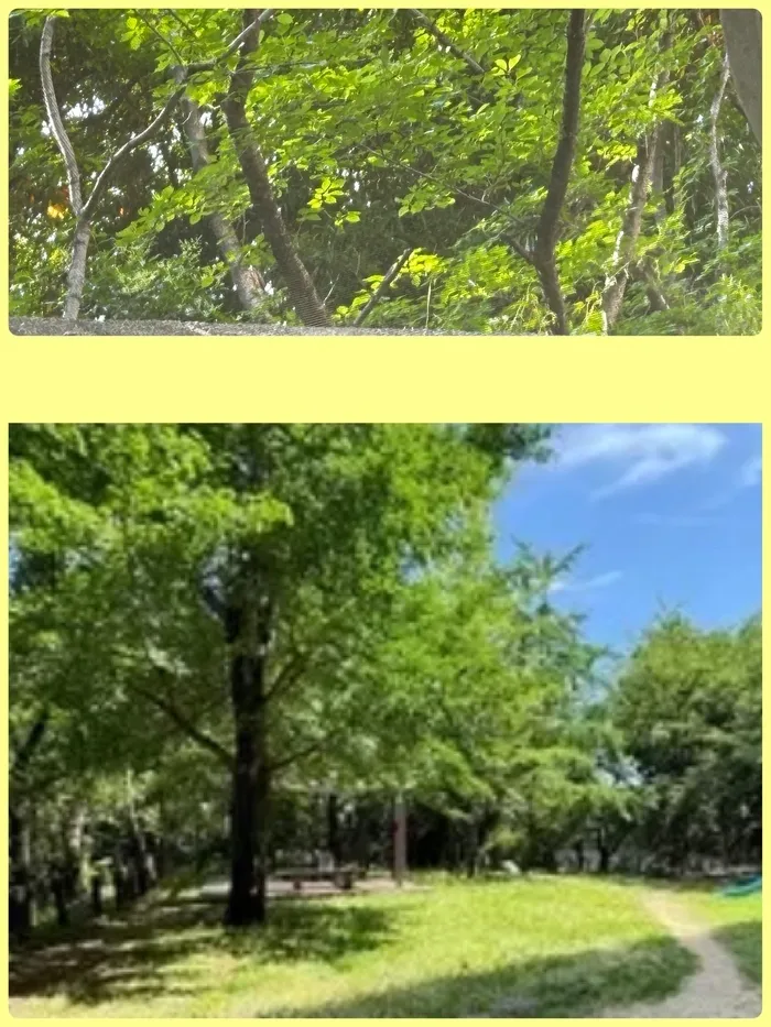 りん・りん大阪狭山教室/自然に囲まれた風景🌳