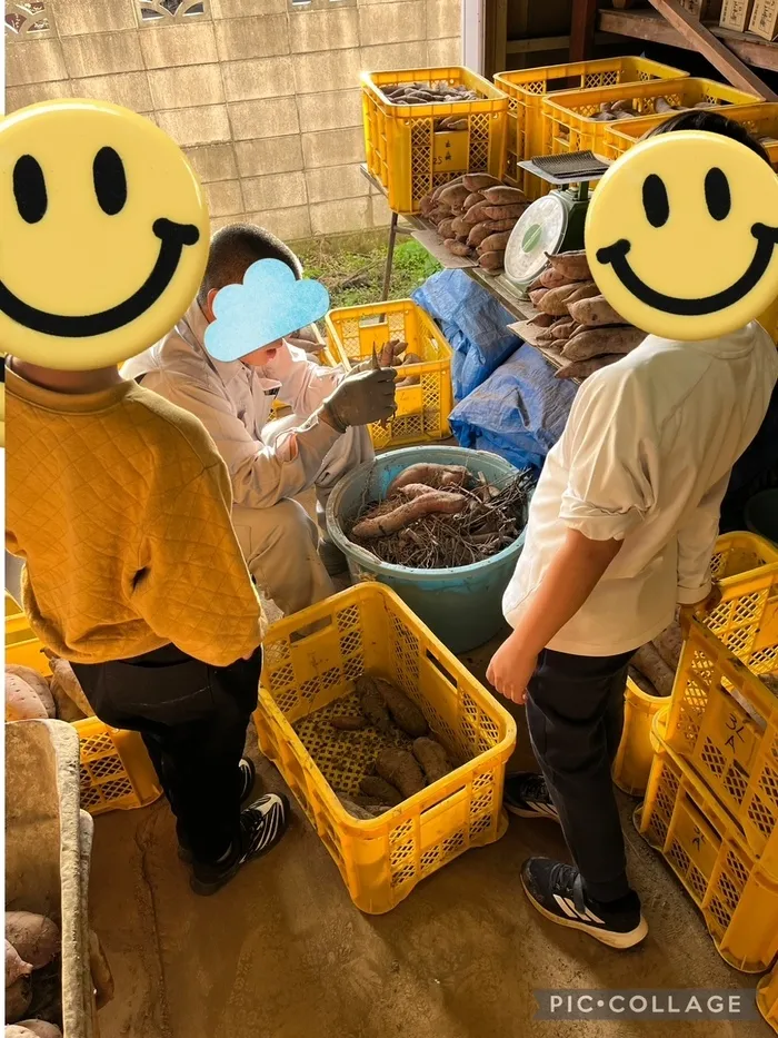  ツリーハウス常総/お芋倉庫見学会