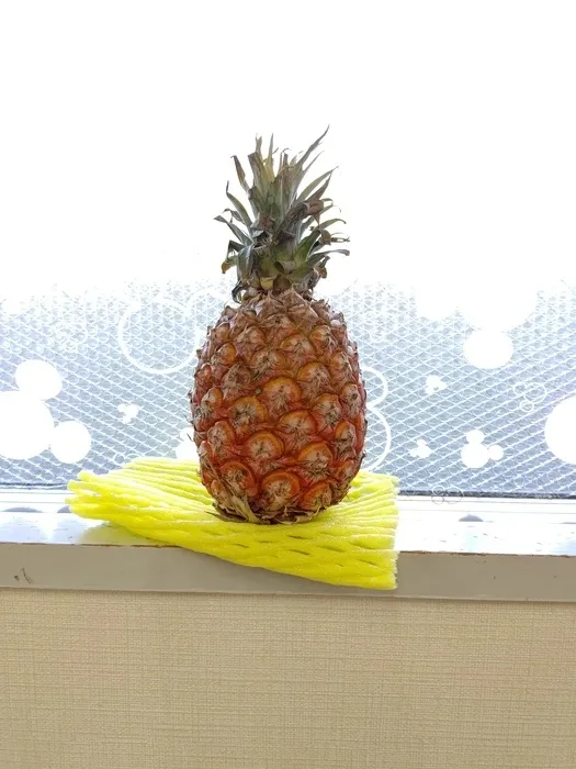 おやつは極力スナックはさけお腹に優しい物を提供しています。