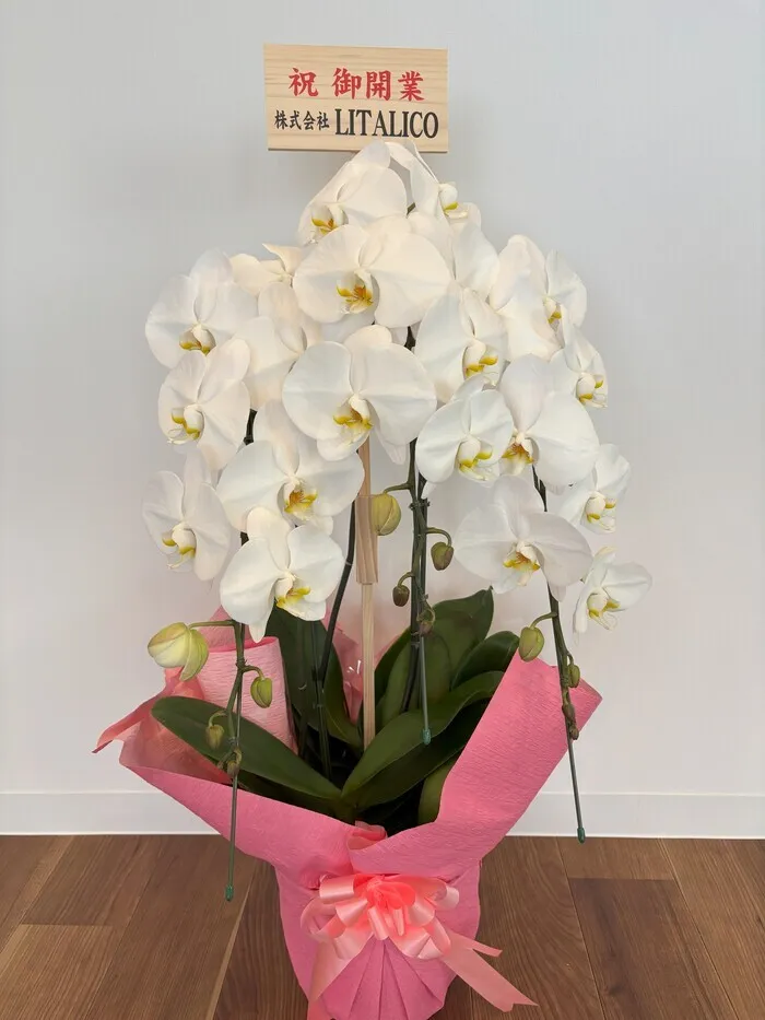 児童発達支援すてら/開所祝いのお花をいただきました☆