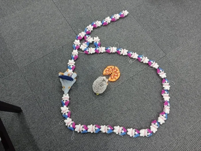 【2025年7月OPEN☆見学受付中】High Art ジュニア/ミケアたちの大行列🐈