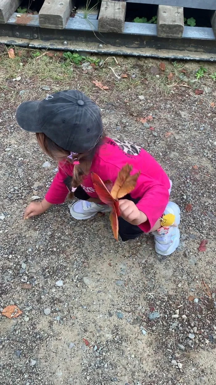 【日曜日空きあり！】みくも　児童発達支援・放課後等デイサービス【英語教室はじめました！】/松山総合公園での活動を通じて