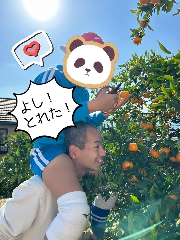 ウィズ・ユー相模原富士見/丸増園でみかん狩り🍊