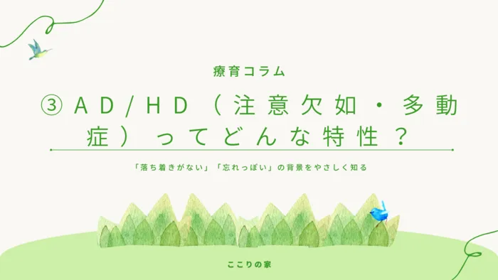 ここりの家【個別×集団療育×学習支援 体験受付中！】の画像