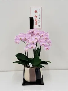 ハートキッズ小川/本日オープン