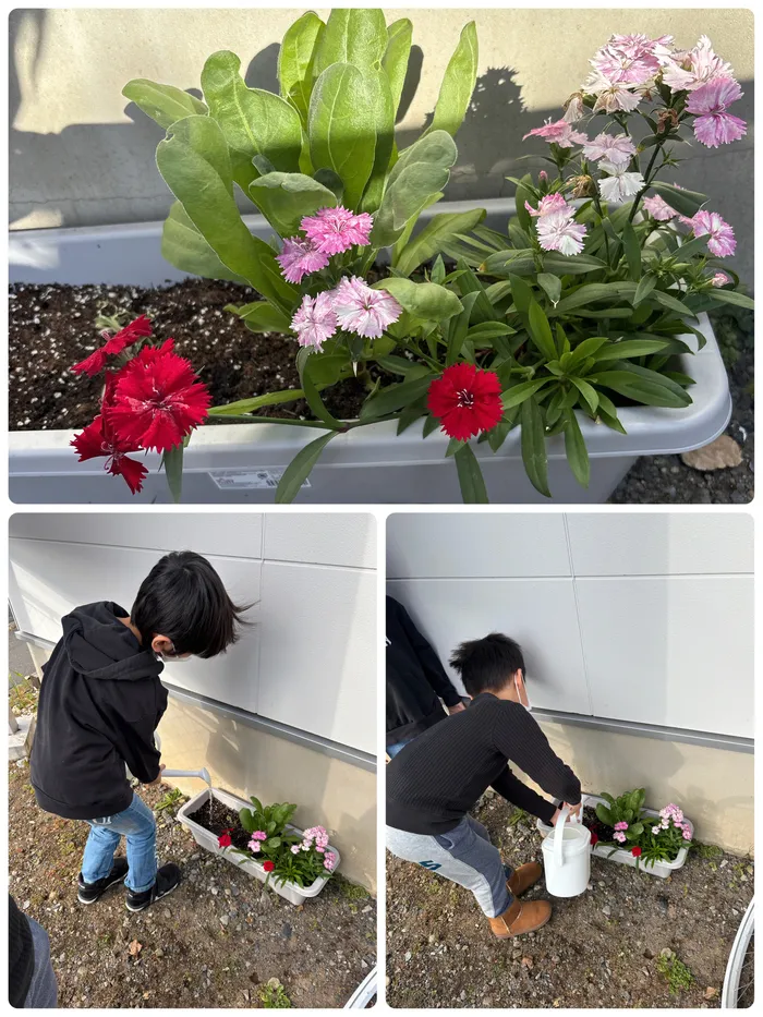 ハートキッズ小川/水やり🌸