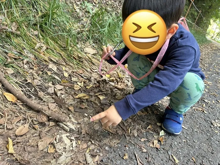 みらいシード/秋？冬？