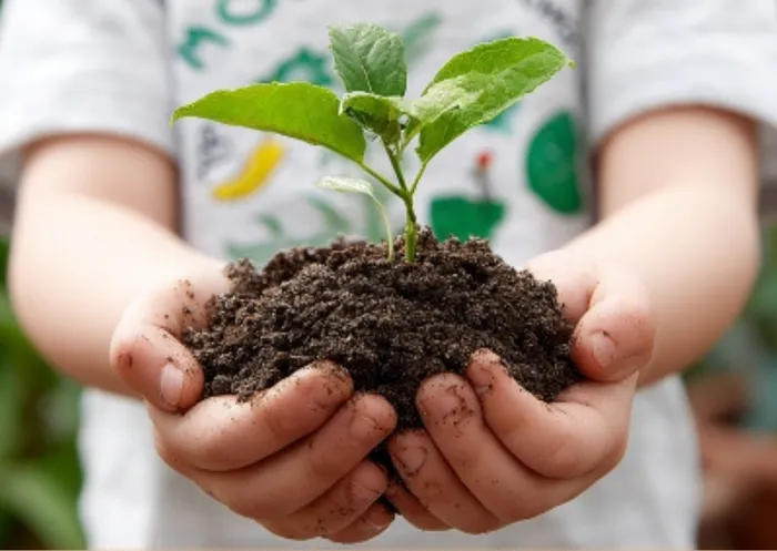 たまむすび/プログラム内容