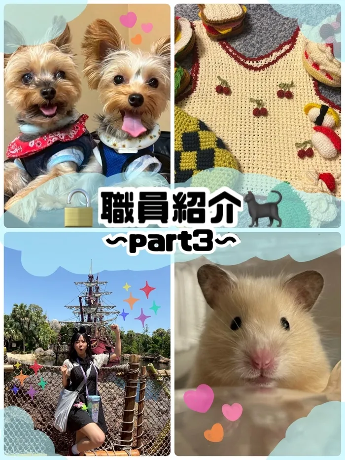 【全日空き有り☆10月オープン♪】放課後等デイサービス　かぎしっぽ/🔓職員紹介〜part3〜🐈‍⬛