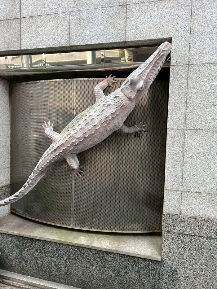 【全日空き有り☆10月オープン】 児童発達支援 Lino生野店/かっこいいワニさん👀