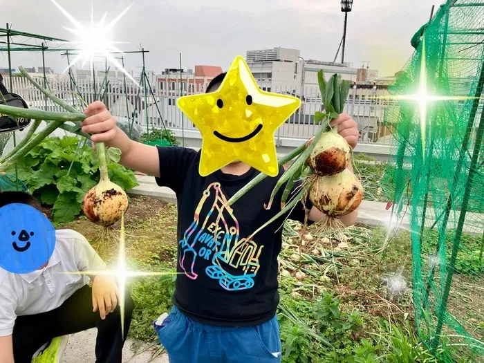 農園で野菜種や苗から育てて収穫しています。
