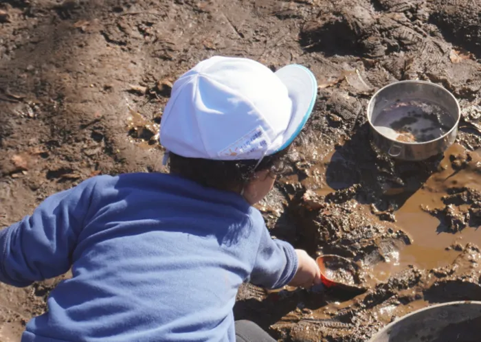 イルカ保育園/その他