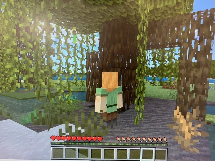 放課後等デイサービスプロラボ 西宮校/マインクラフト〜達人への道は遠い⁈💦〜VOL.2