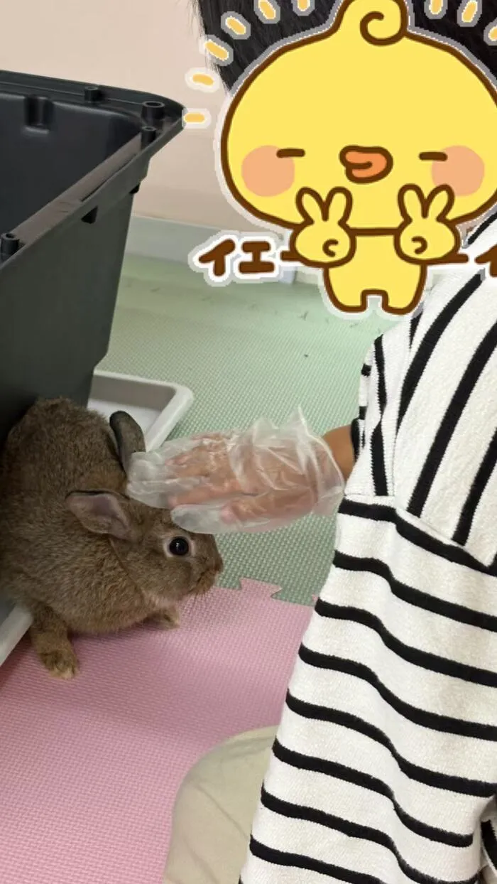 放課後等デイサービスハッピープラス/☆動物発表☆