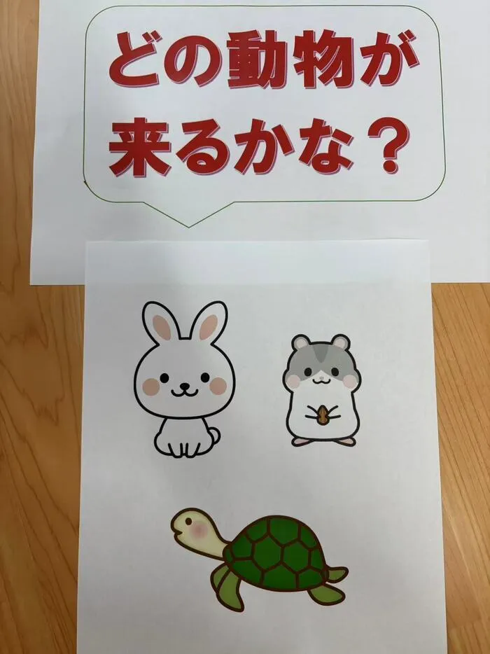 放課後等デイサービスハッピープラス/☆アニマルセラピー動物選び☆