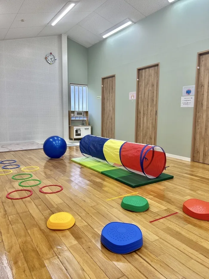 ブロッサムジュニア岡崎南教室　児童発達支援・放課後等デイサービス