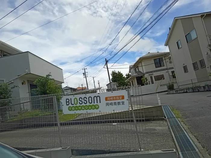 ブロッサムジュニア岡崎南教室　児童発達支援・放課後等デイサービス