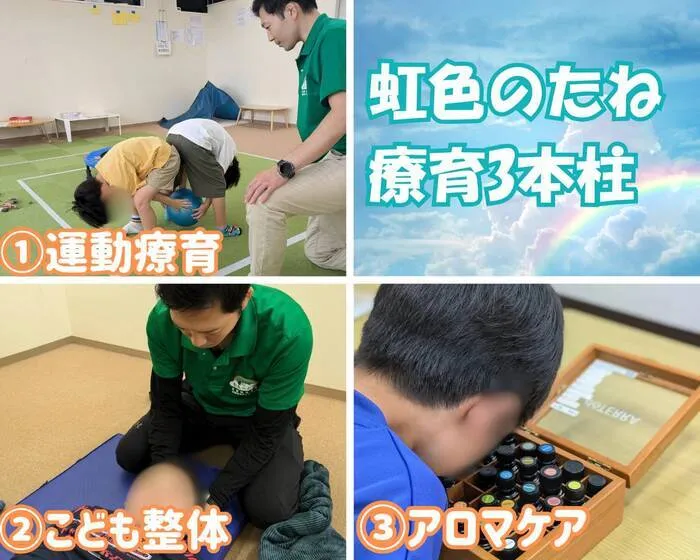 虹色のたね　明石台/プログラム内容